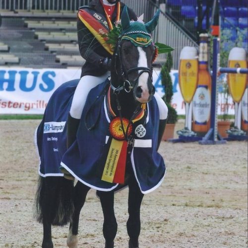 Nuno auf dem Bundeschampionat
