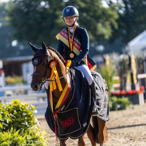 Del Drago - der Bundeschampion